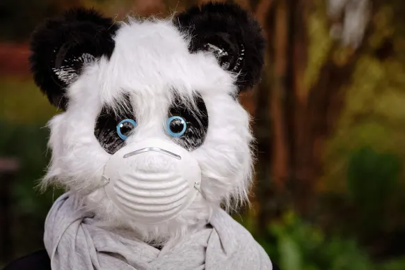 Stay Cazino Cazinou Suport